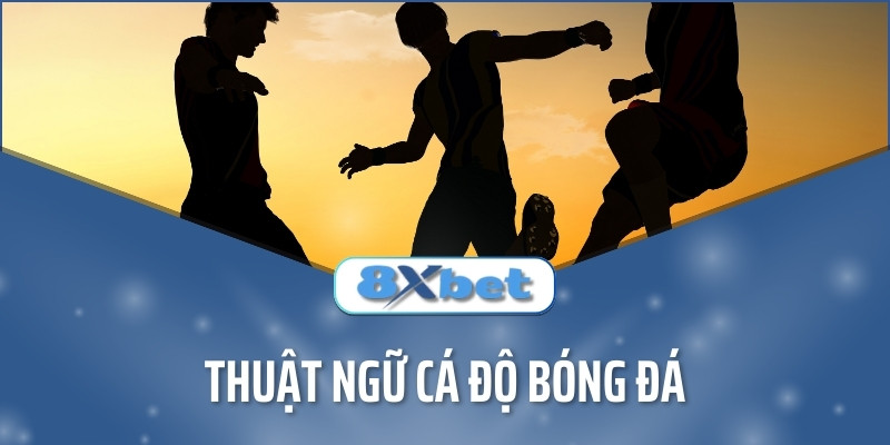 Các thuật ngữ cá độ bóng đá quen thuộc nhất 2024