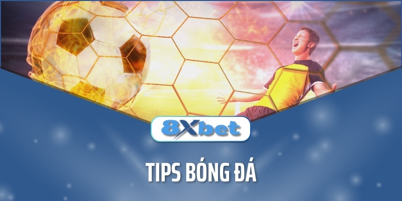 Tips bóng đá là gì? Những tips hay cược đâu thắng đó